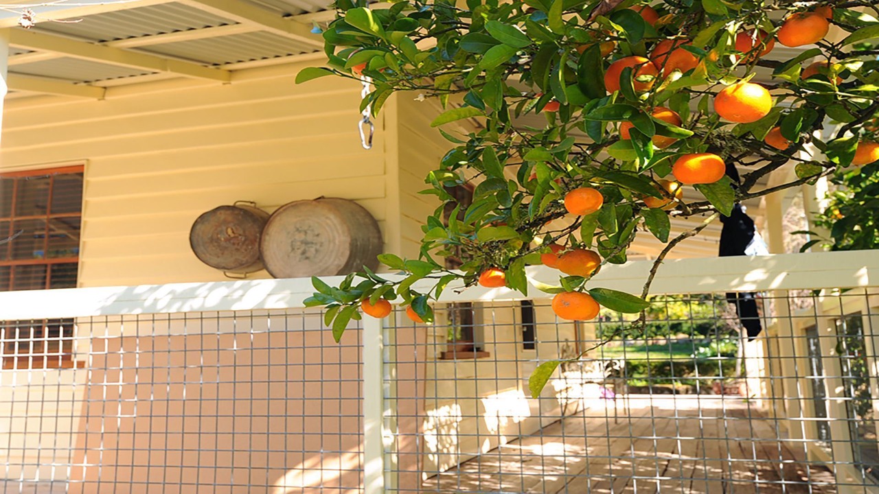 Photo of Outdoor in Kangaroo Valley