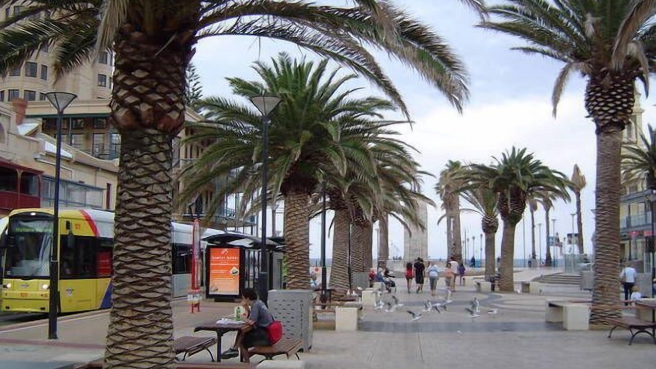 Photo of Outdoor in Glenelg