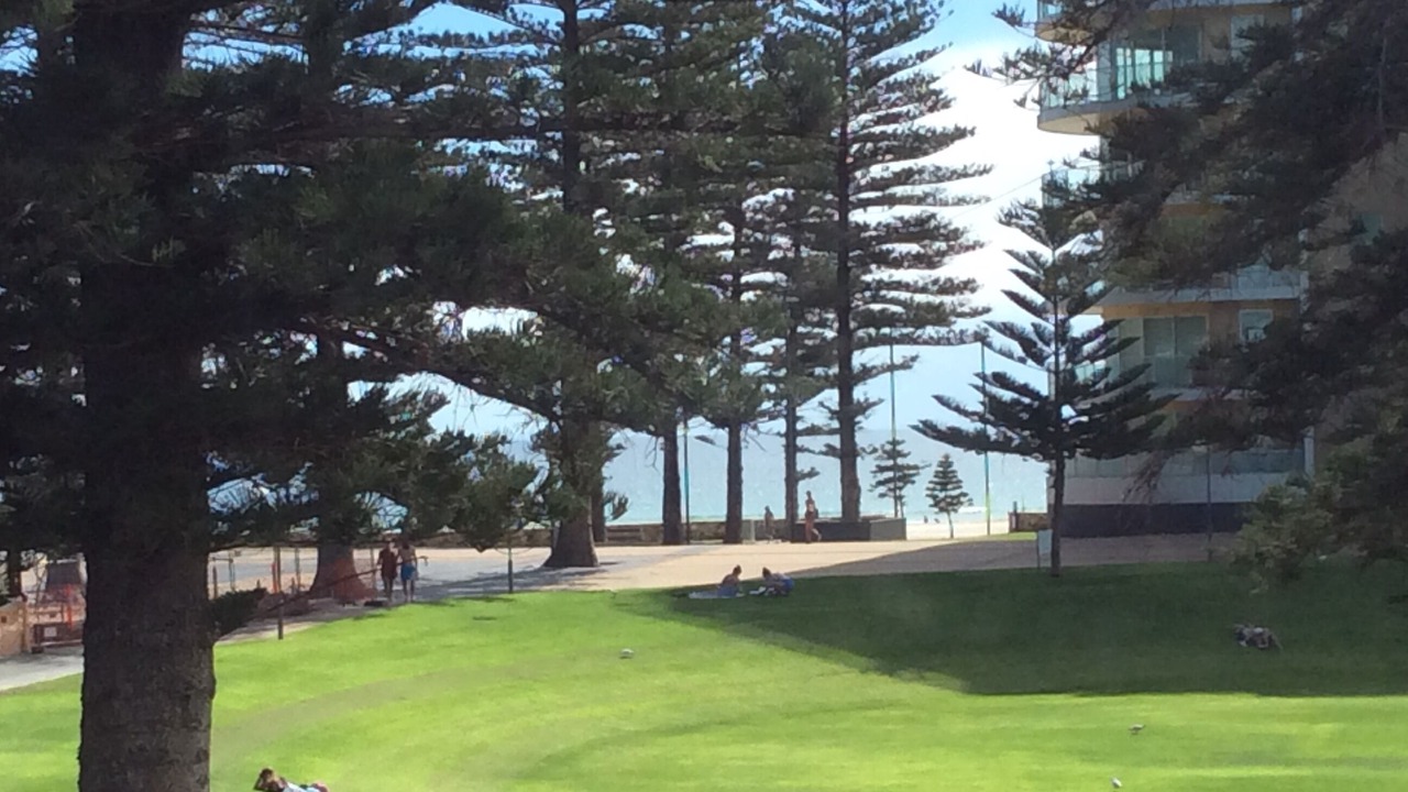 Photo of Others in Glenelg