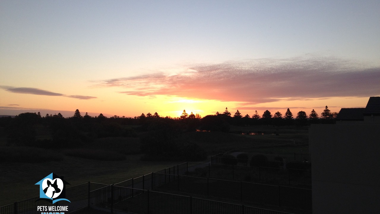 Photo of Others in Normanville