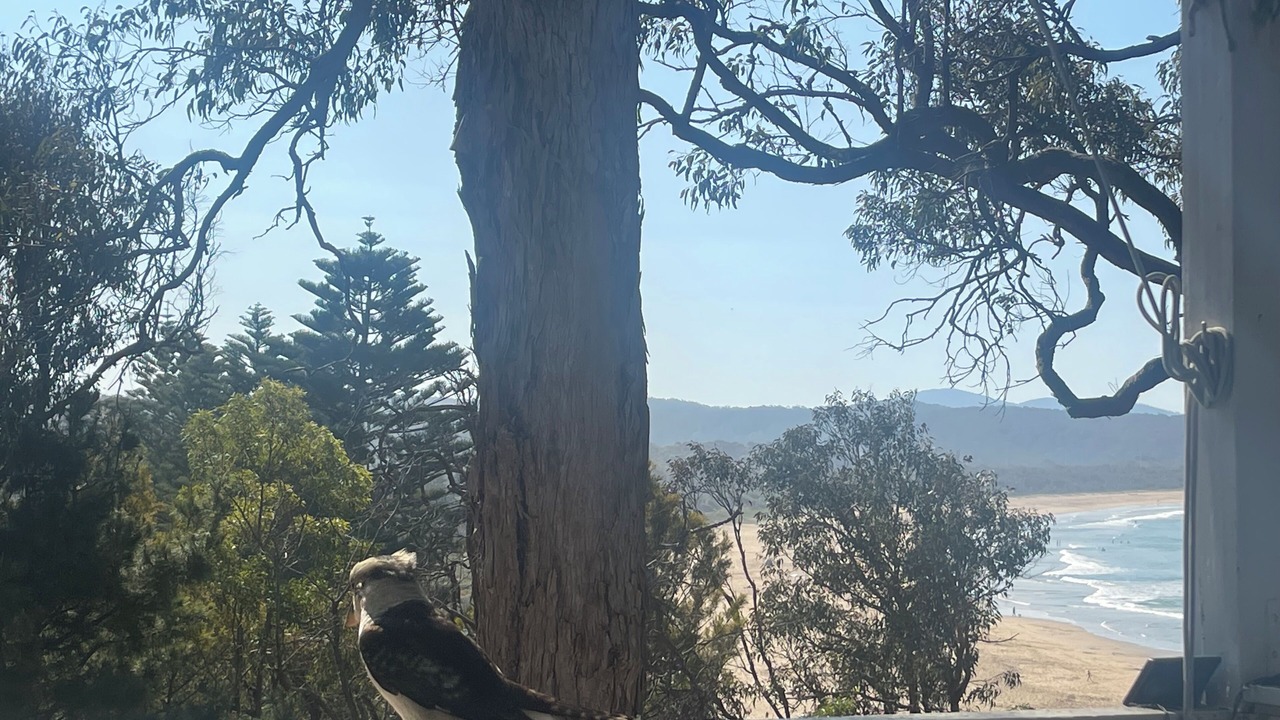 Photo of Others in Tathra