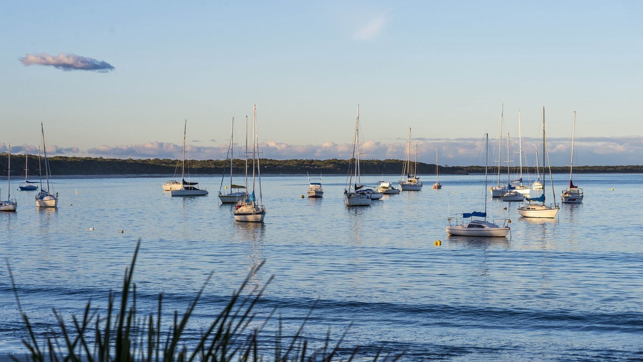 Photo of Others in Callala Bay