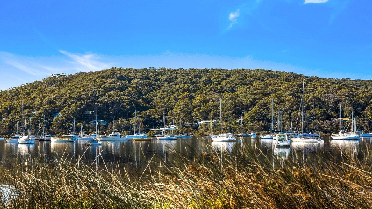 Photo of Others in Hardys Bay