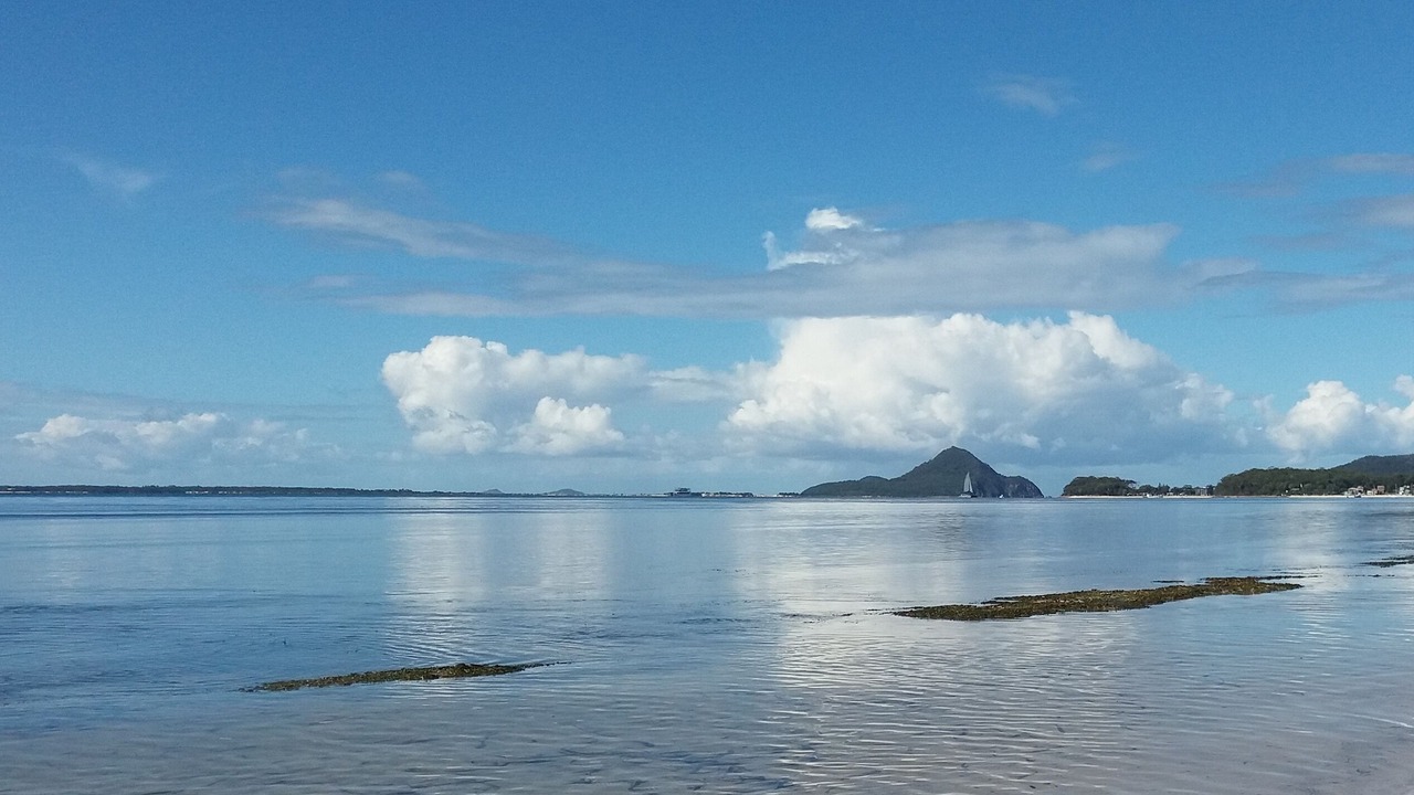 Photo of Others in Nelson Bay