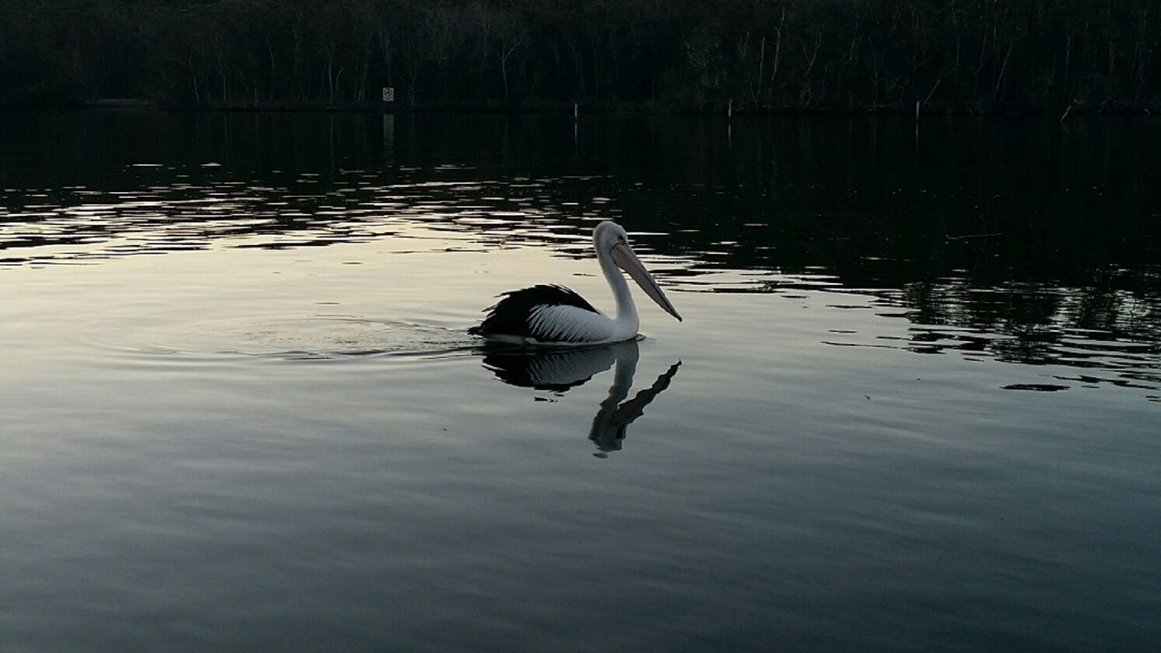 Photo of Outdoor in Lake Conjola