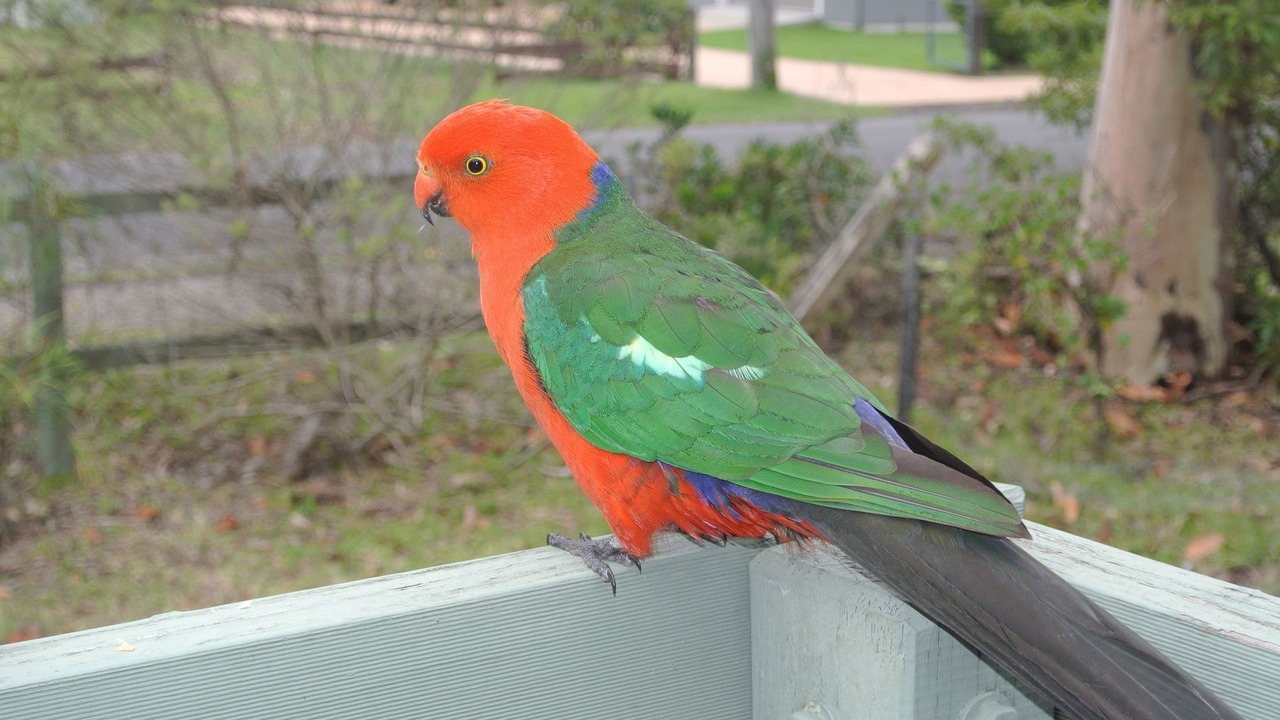 Photo of Outdoor in Lake Conjola
