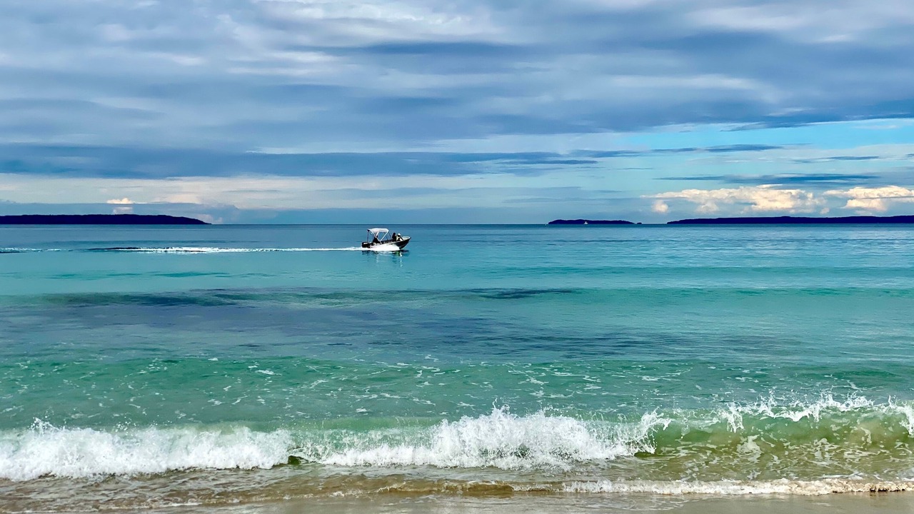 Photo of Others in Callala Beach