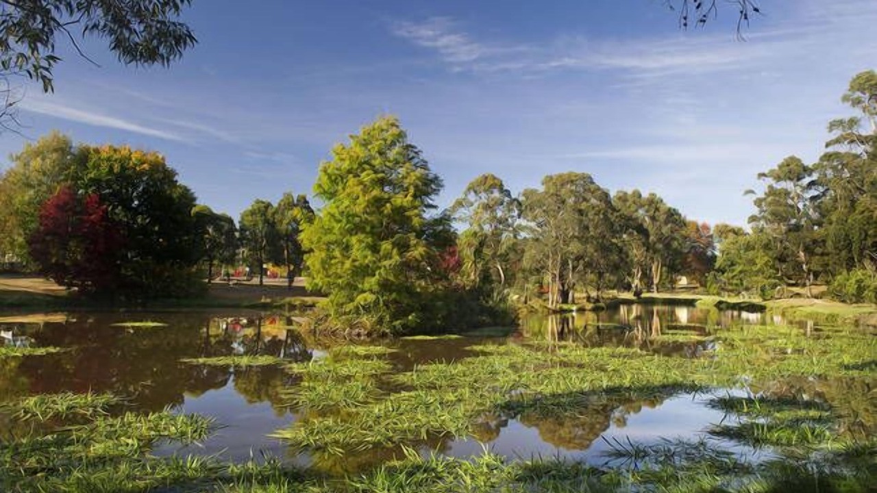 Photo of Outdoor in Trentham