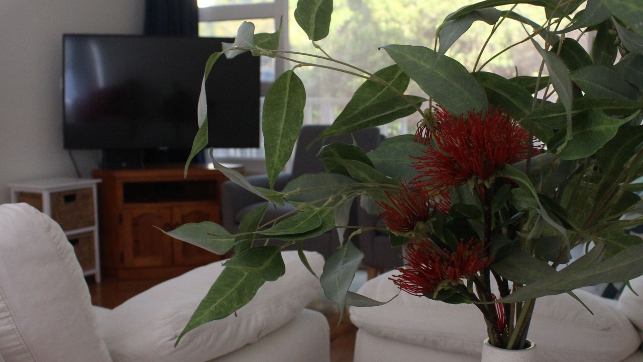 Photo of Livingroom in Kiama