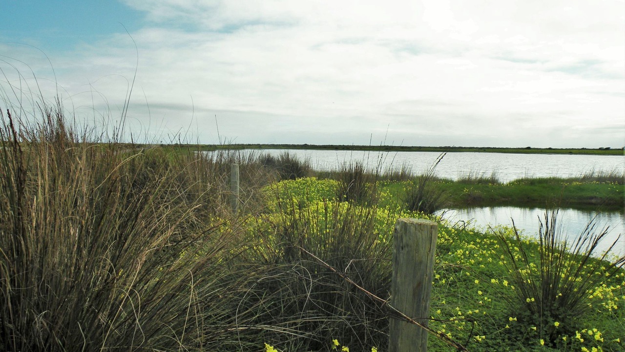 Photo of Others in Sellicks Beach