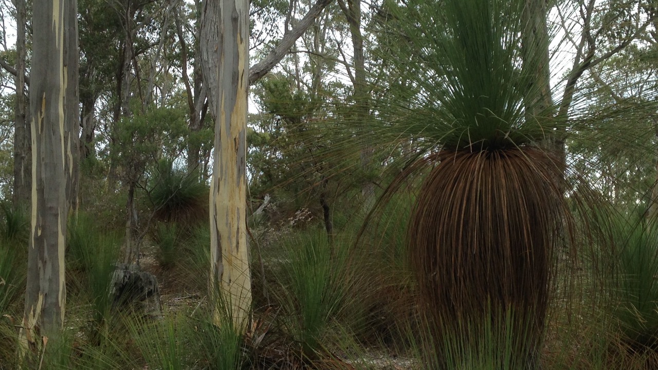 Photo of Others in North Bruny