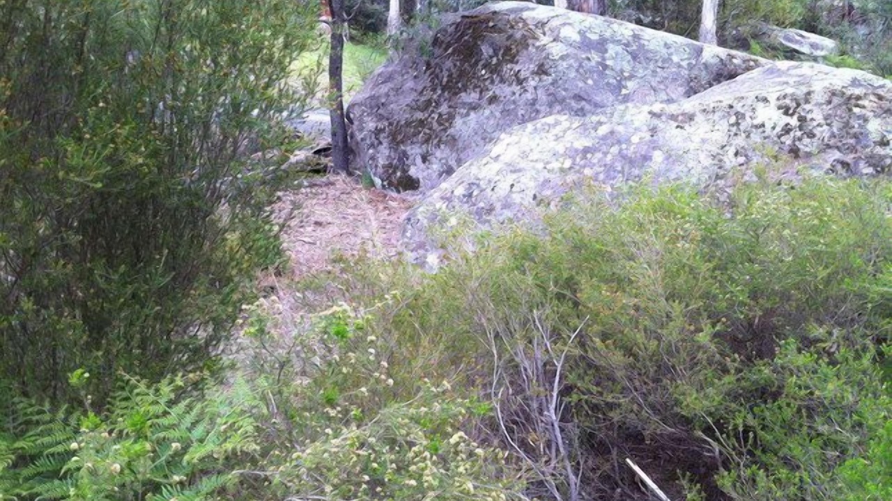 Photo of Outdoor in Halls Gap
