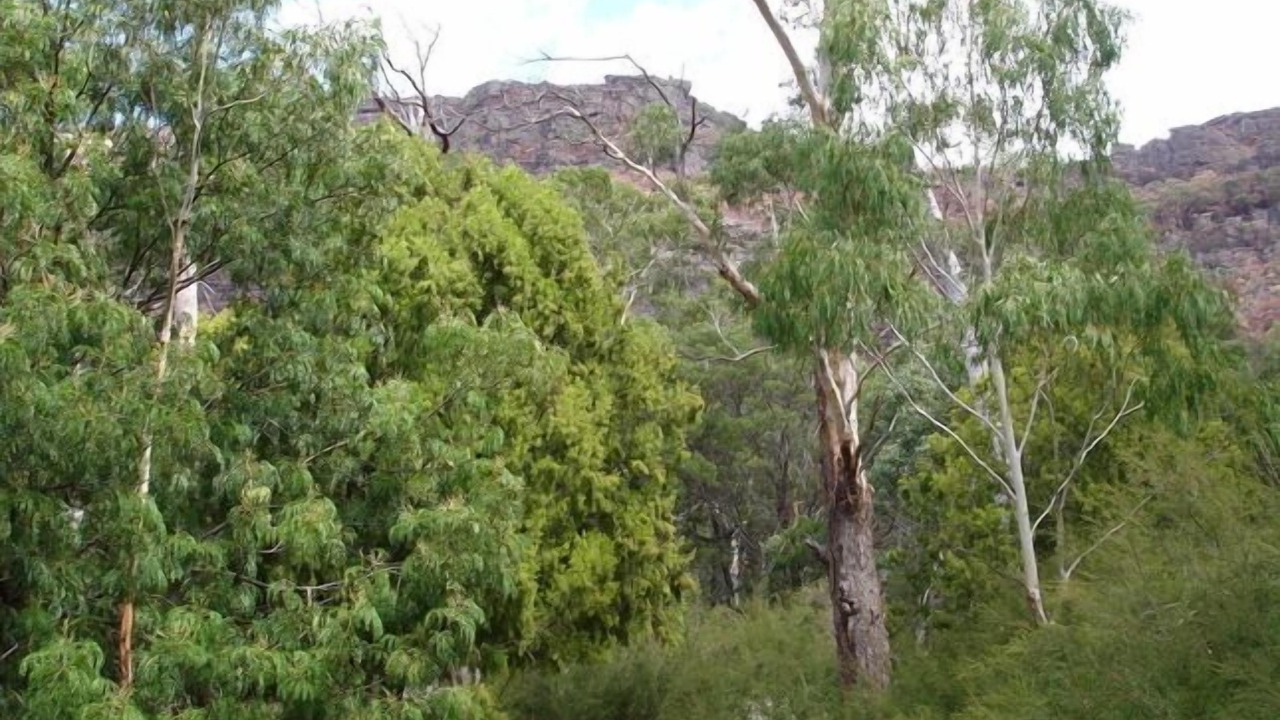 Photo of Outdoor in Halls Gap