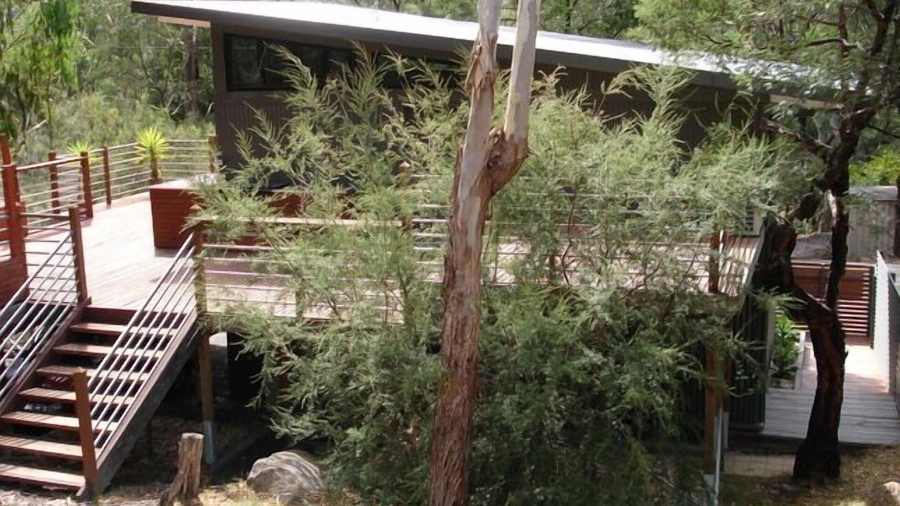 Photo of Outdoor in Halls Gap