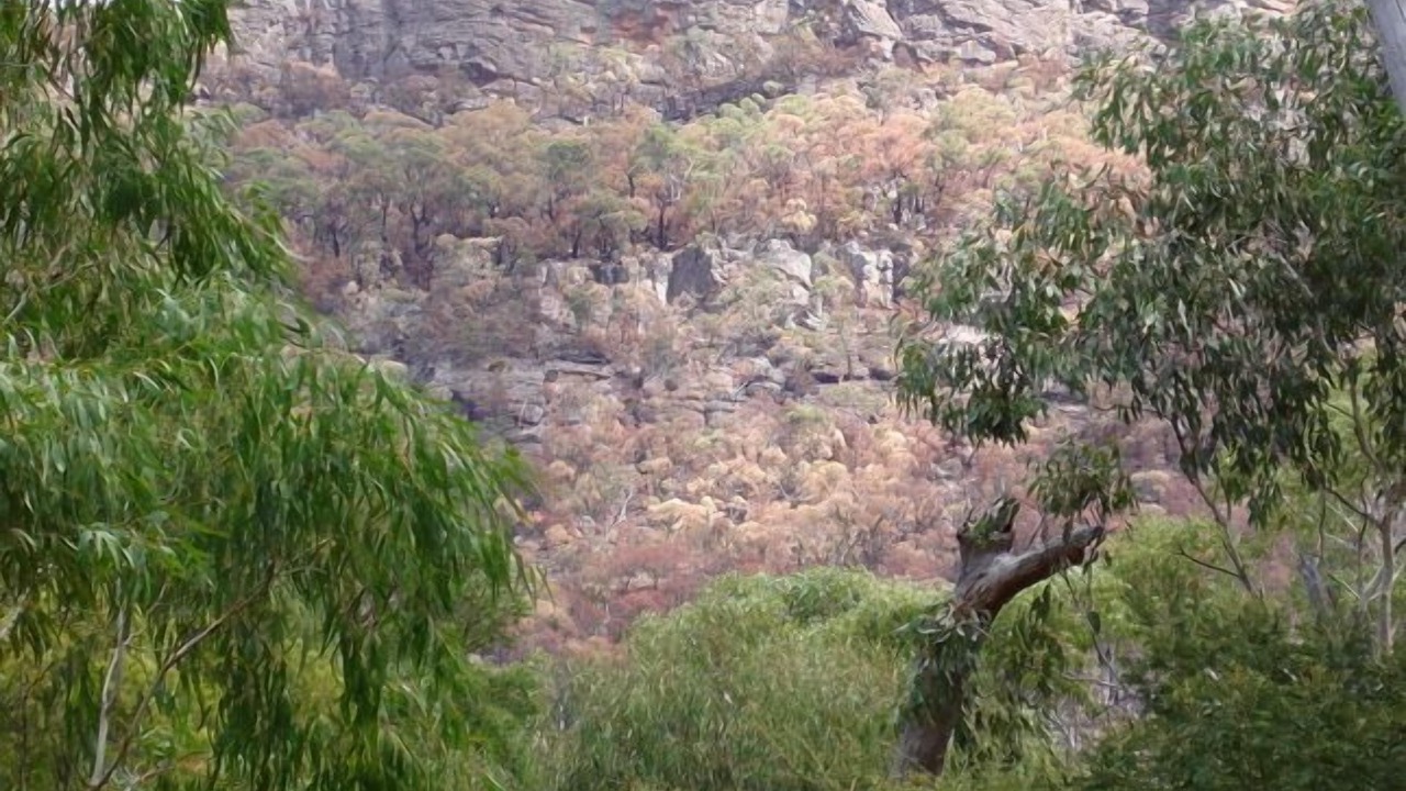 Photo of Outdoor in Halls Gap