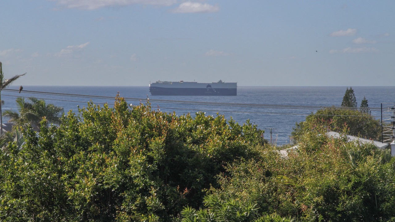 Photo of Others in Shelly Beach
