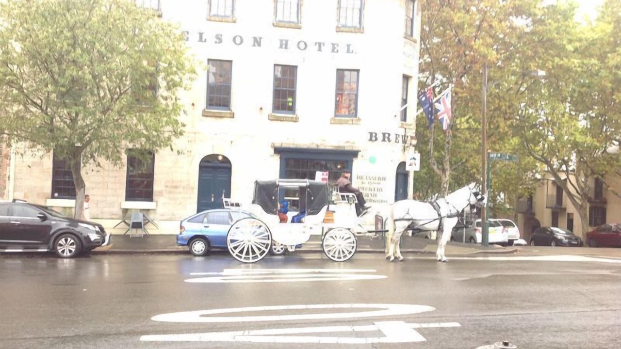 Photo of Others in Millers Point