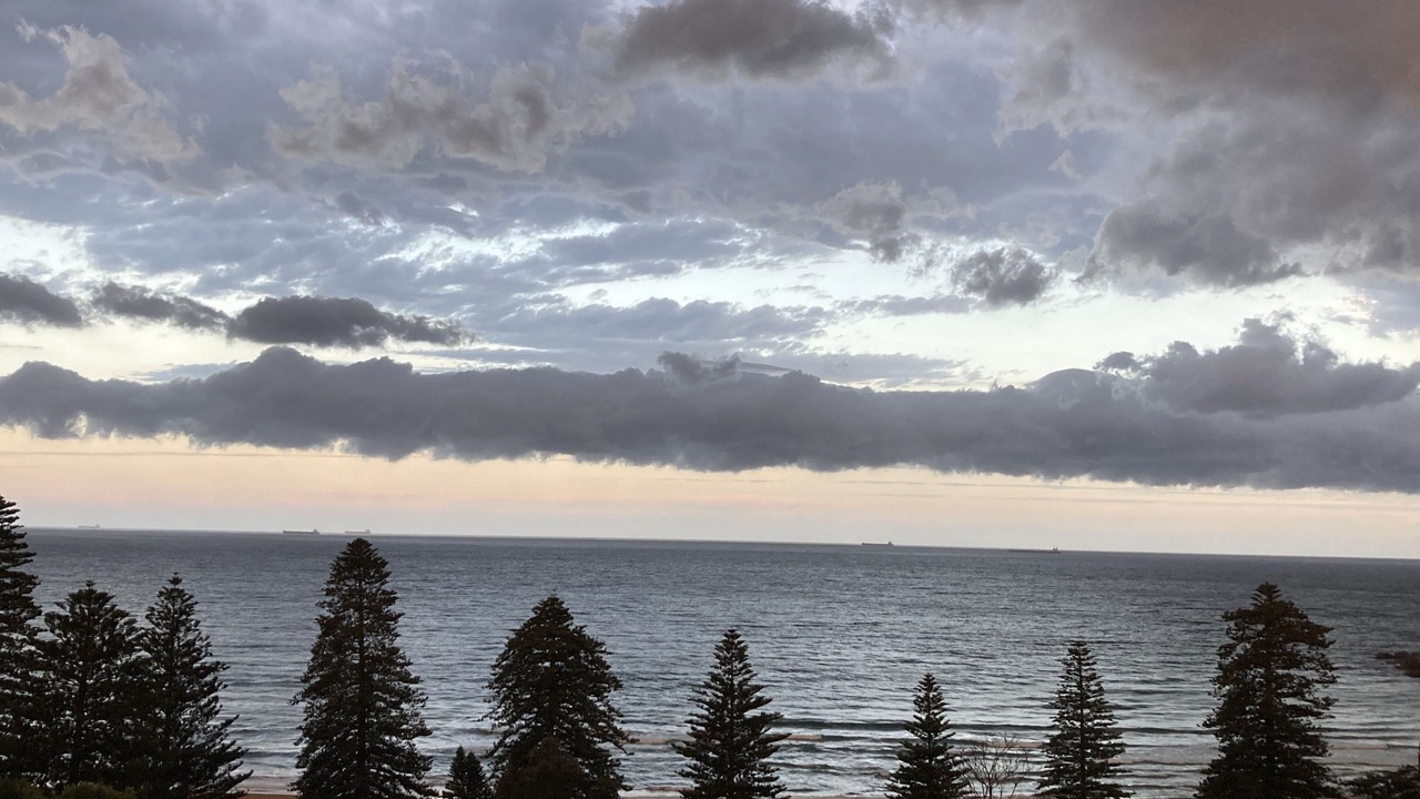 Photo of Others in Avoca Beach