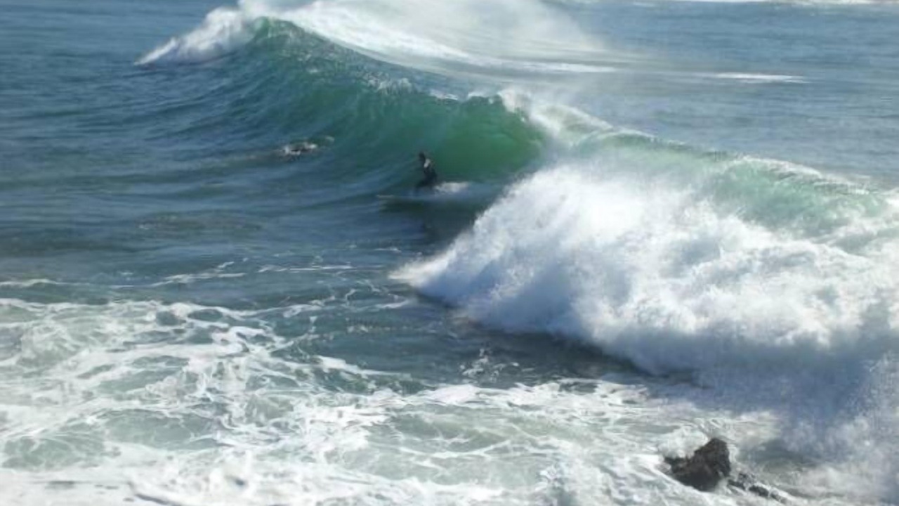 Photo of Others in Avoca Beach