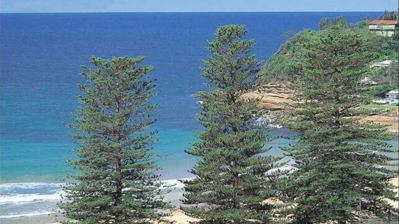 Photo of Others in Avoca Beach