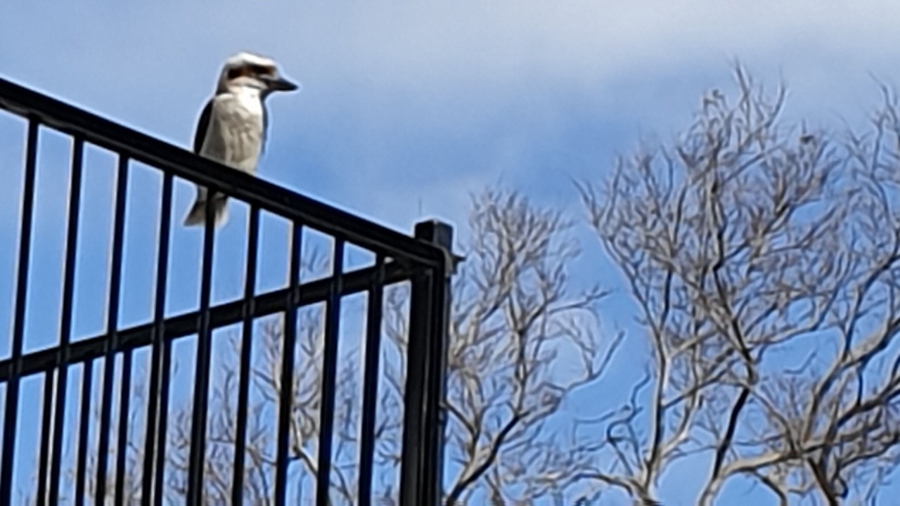 Photo of Others in Randwick