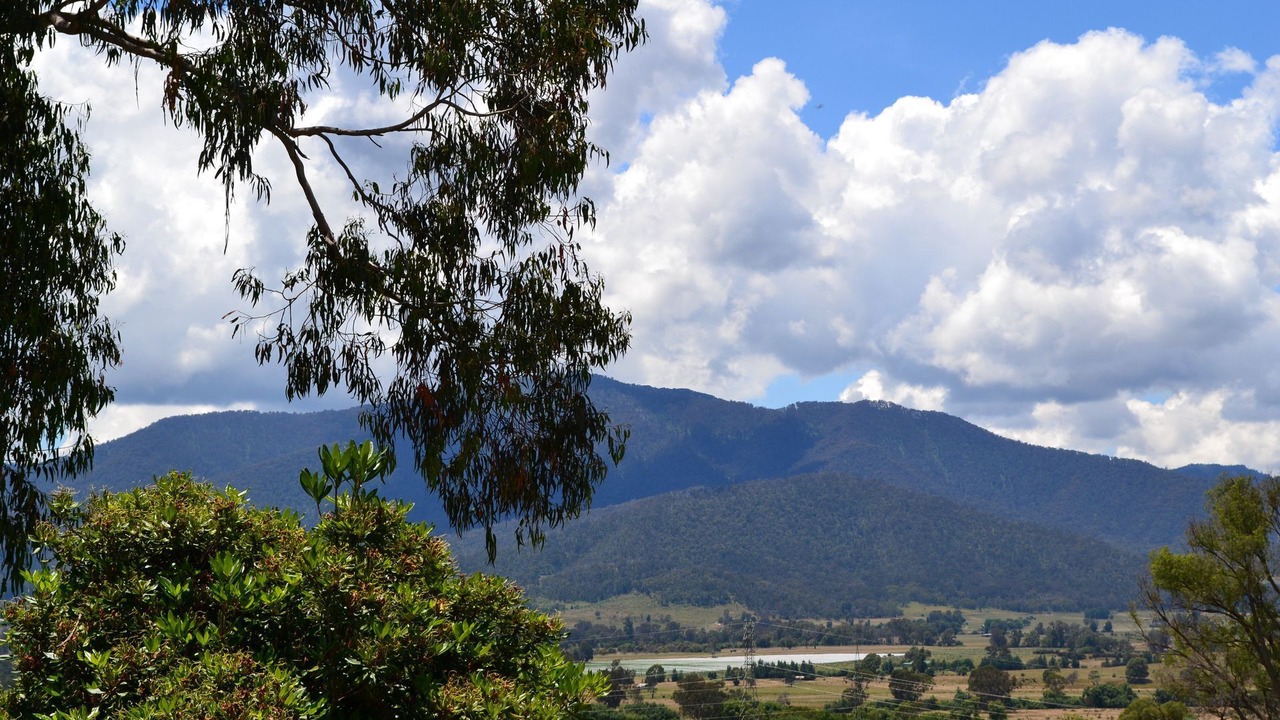 Photo of Outdoor in Tawonga South