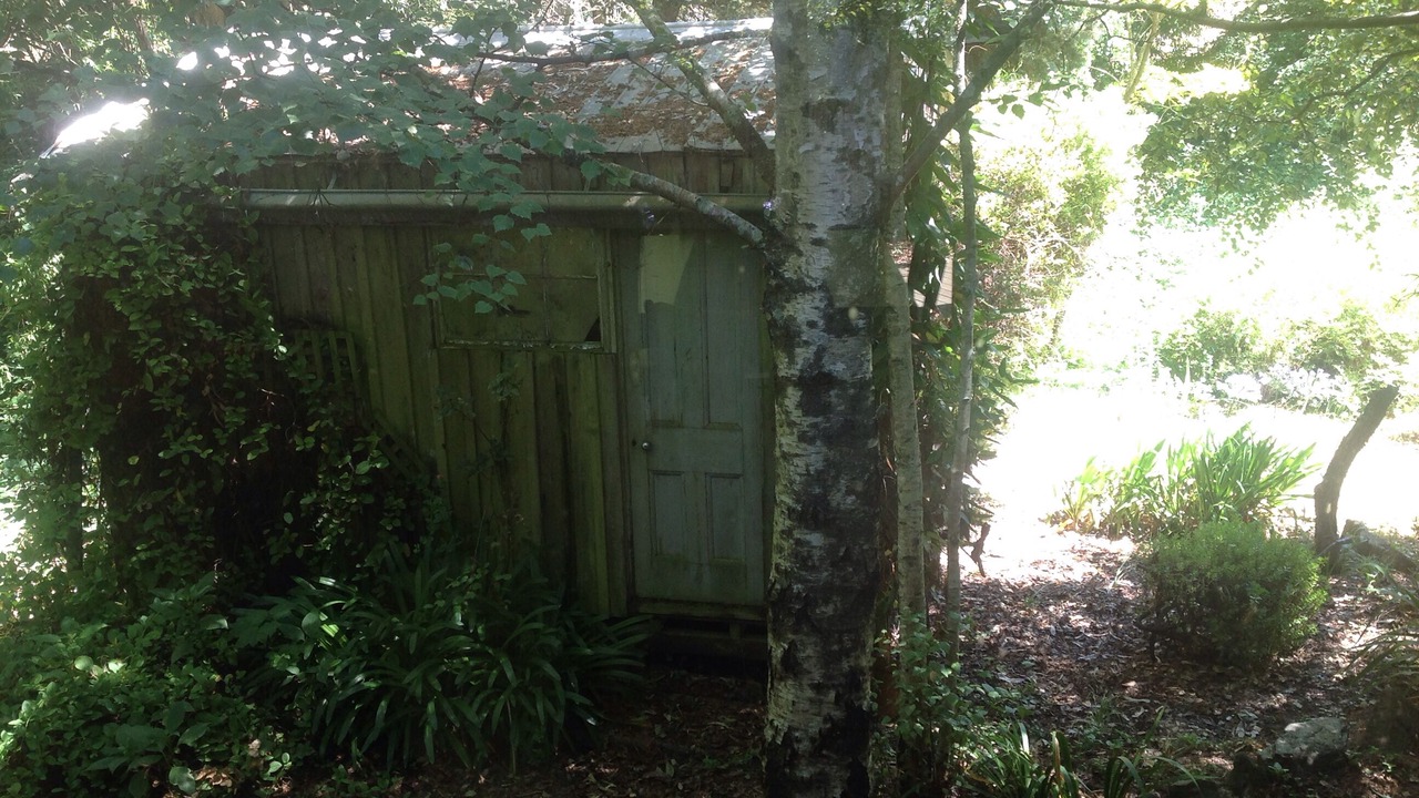 Photo of Outdoor in Musk