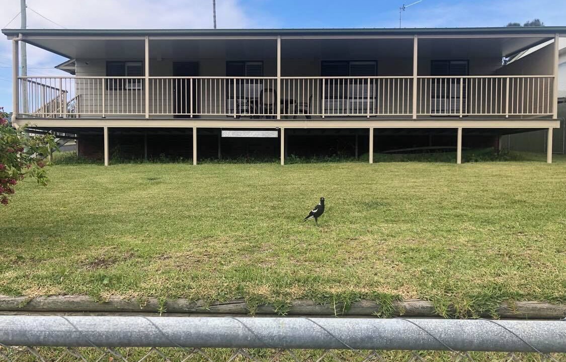 Photo of Others in Tuross Head