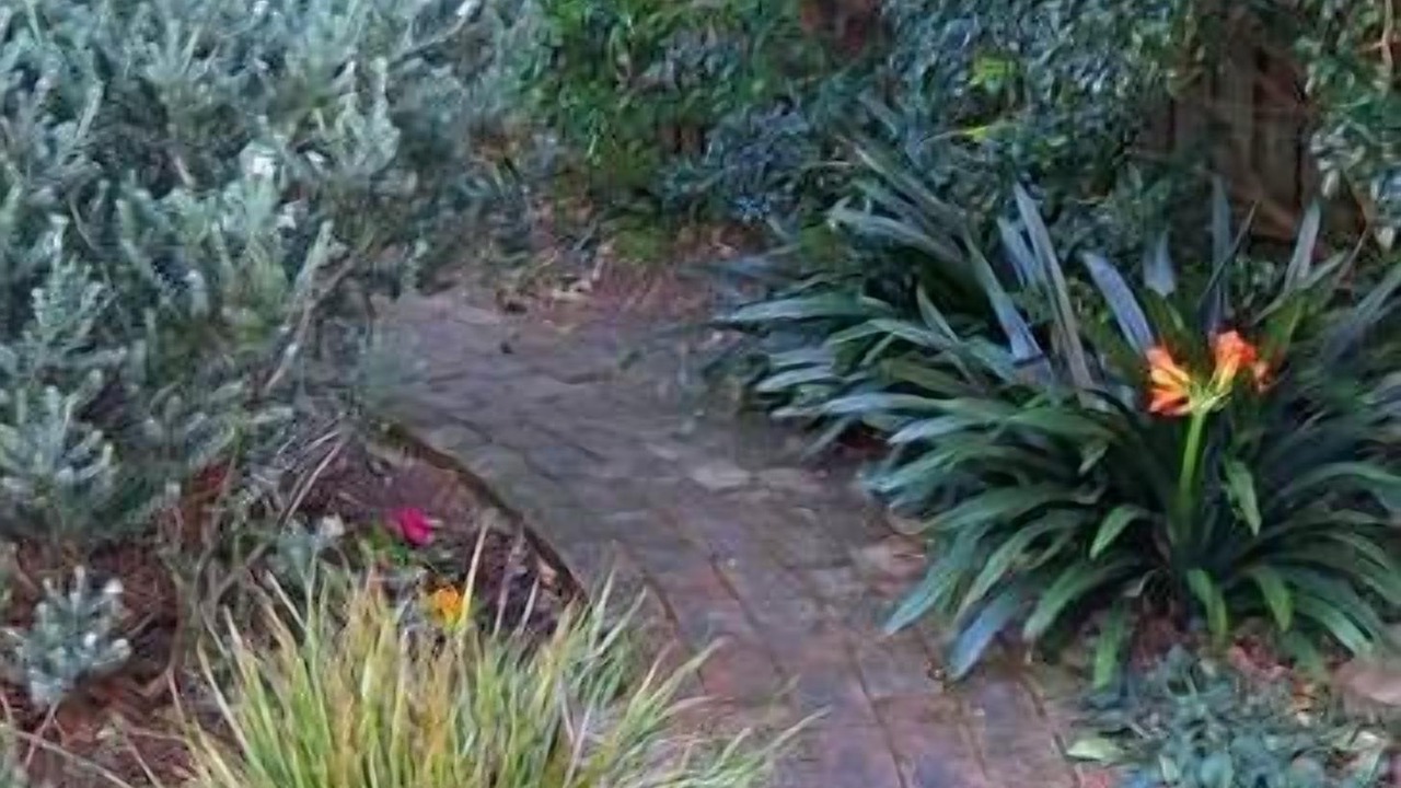 Photo of Outdoor in Austinmer