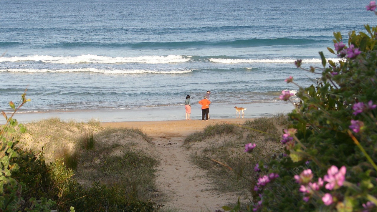 Photo of Others in South Durras