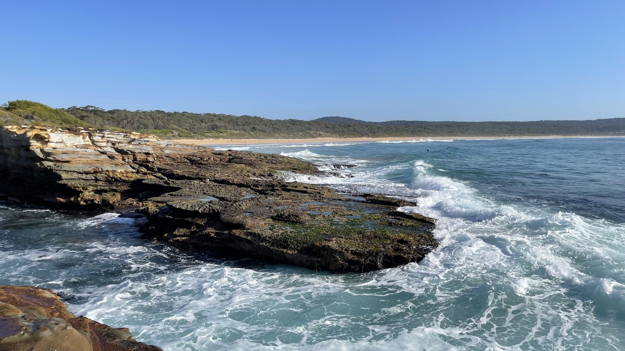 Photo of Others in South Durras