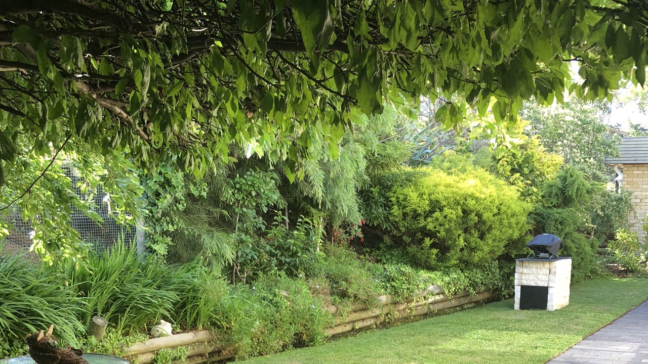 Photo of Outdoor in Acton Park