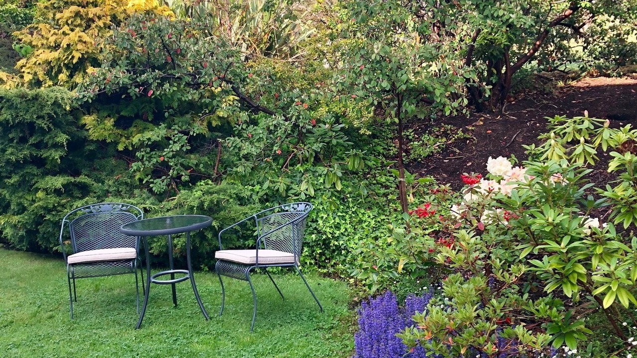 Photo of Outdoor in Acton Park
