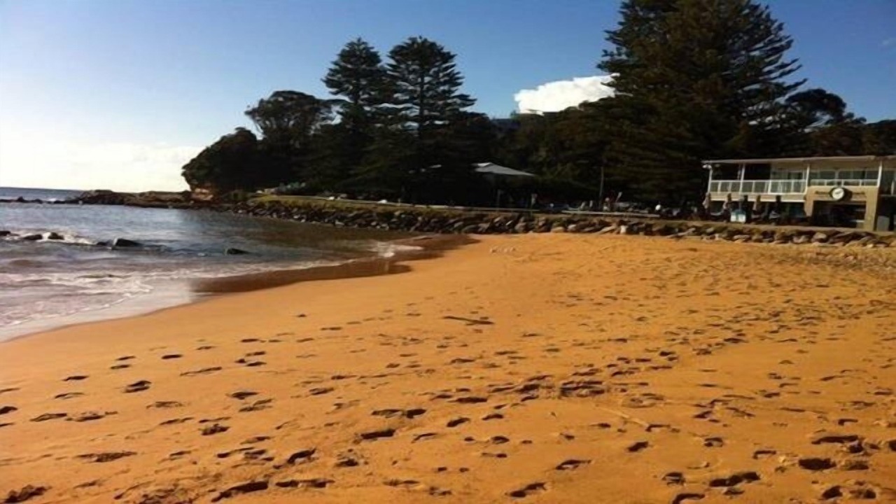 Photo of Others in Avoca Beach