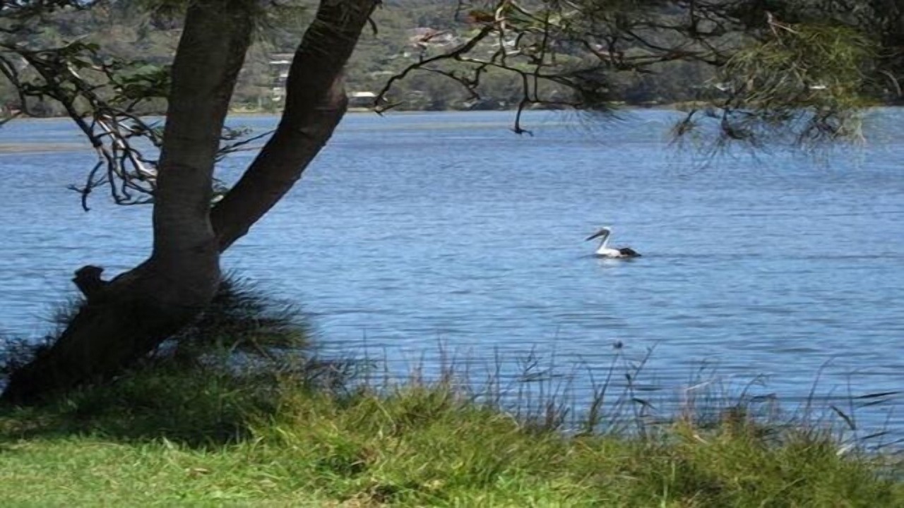 Photo of Outdoor in Avoca Beach