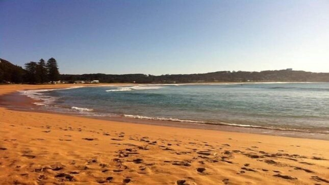 Photo of Others in Avoca Beach