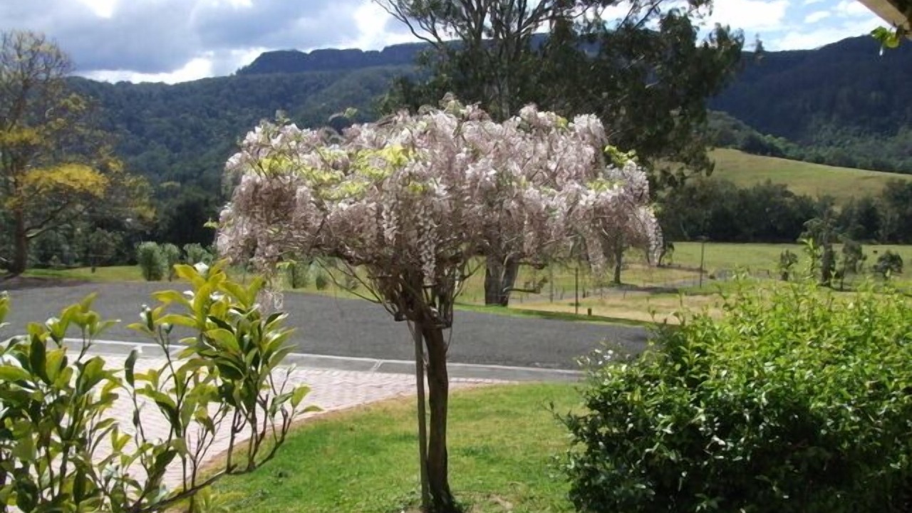 Photo of Outdoor in Bundewallah