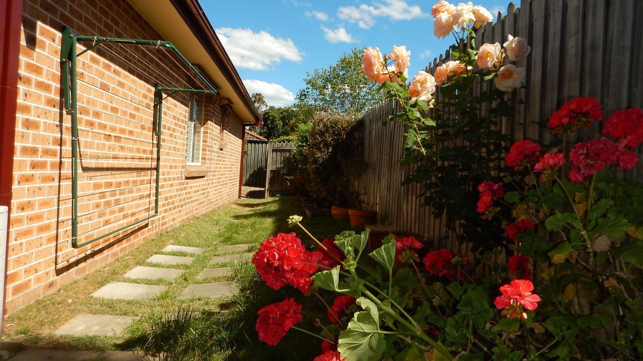 Photo of Others in South Wentworthville