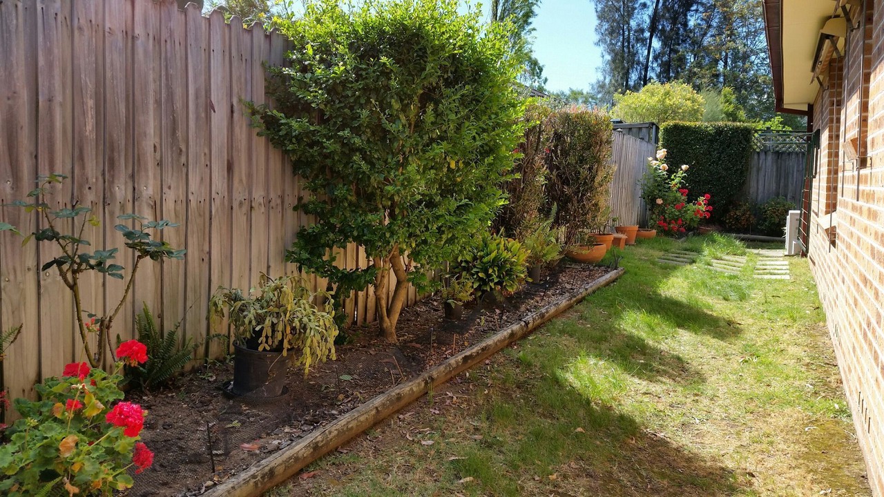 Photo of Outdoor in South Wentworthville