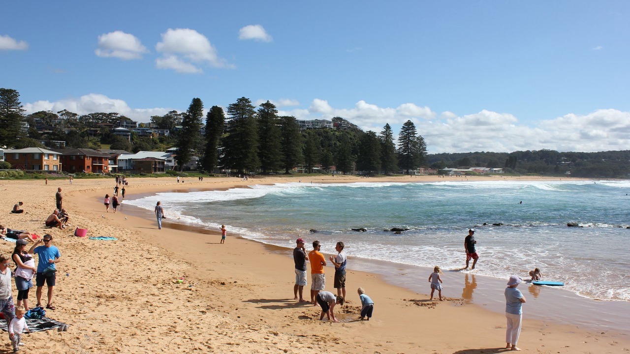 Photo of Others in Avoca Beach