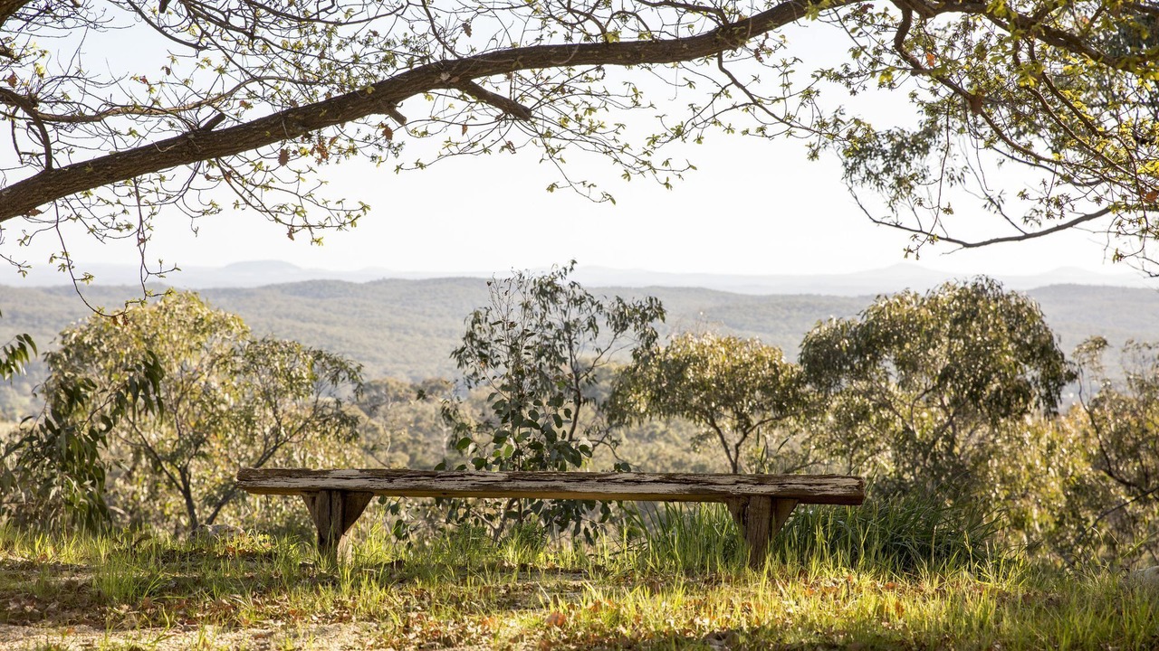 Photo of Outdoor in Chewton Bushlands