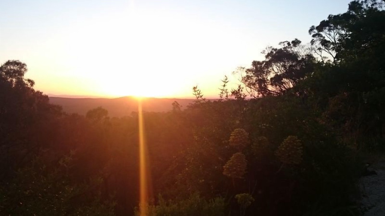Photo of Others in Chewton Bushlands