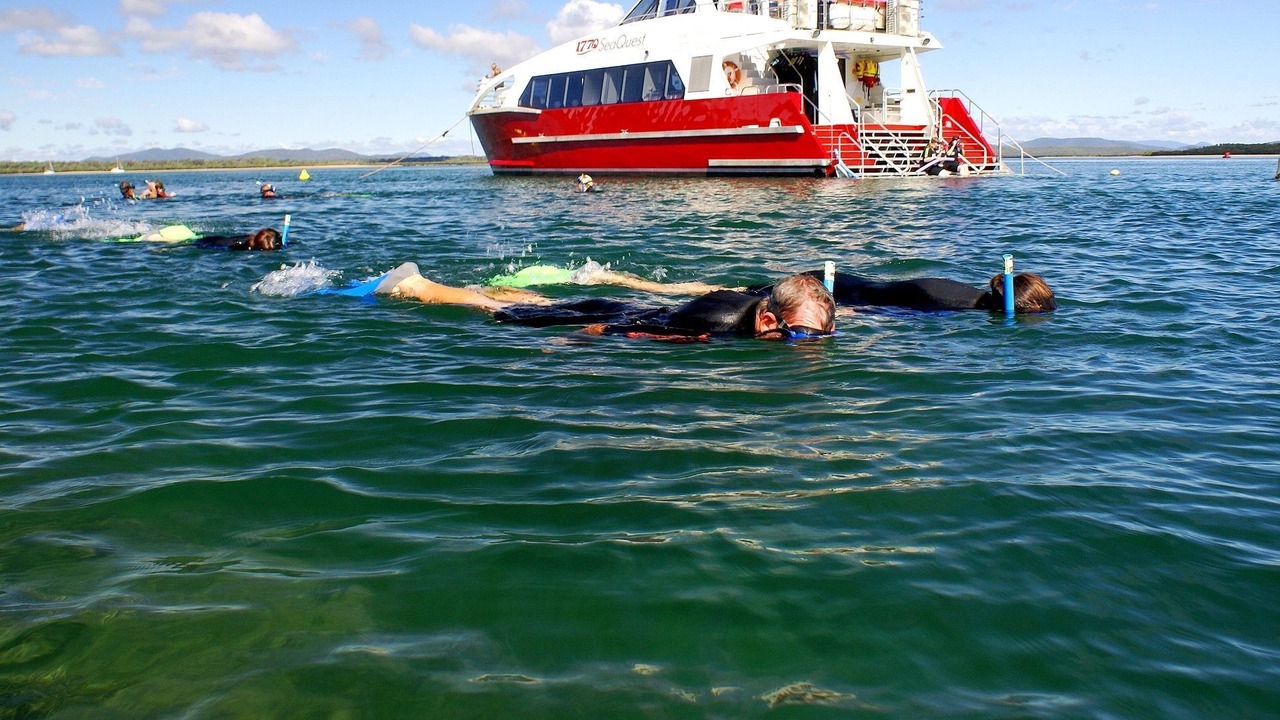 Photo of Others in Agnes Water