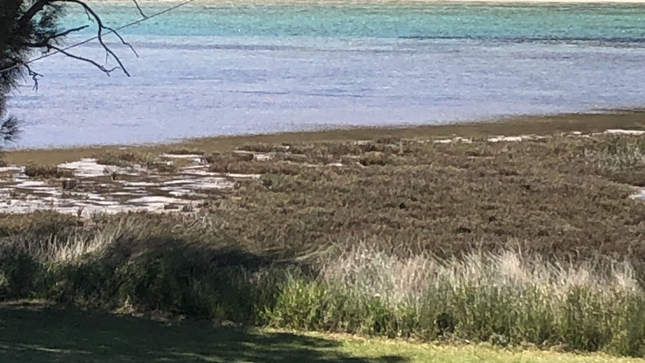 Photo of Outdoor in Burrill Lake