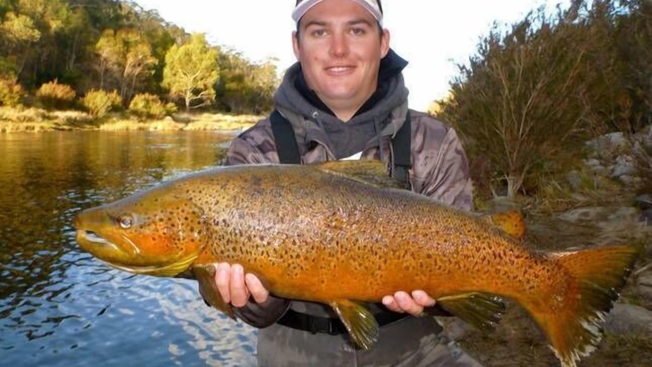 Photo of Others in Anglers Reach