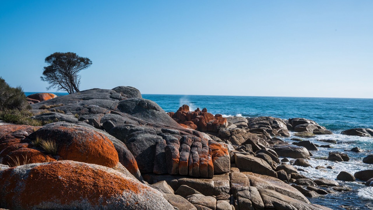 Photo of Others in Binalong Bay