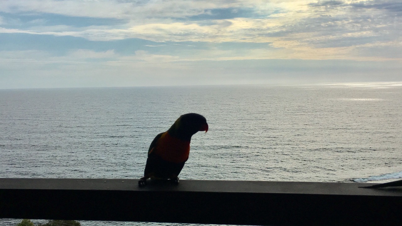 Photo of Others in Palm Beach