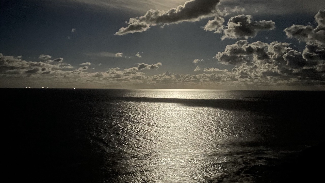 Photo of Others in Palm Beach