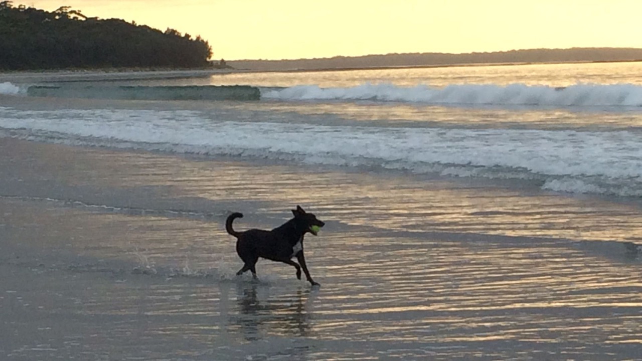 Photo of Others in Callala Beach