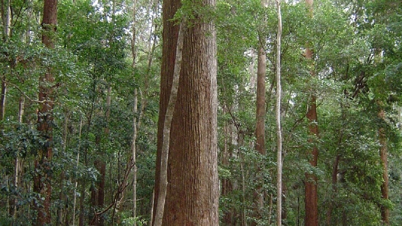 Photo of Others in Eurong